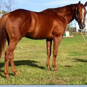 Meet your Posher, Tammy